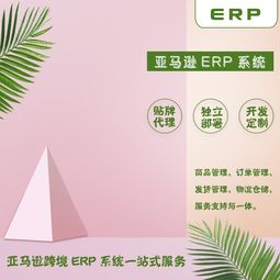 亚马逊erp出售及一站式服务从零到基础一对一指导